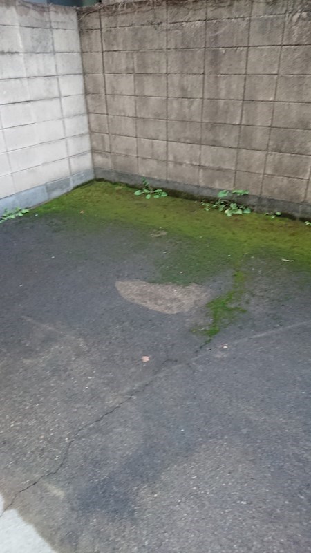 コスモハイツ今出川 ベランダ