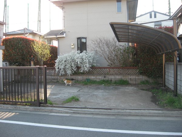 青柳貸家北棟 その他