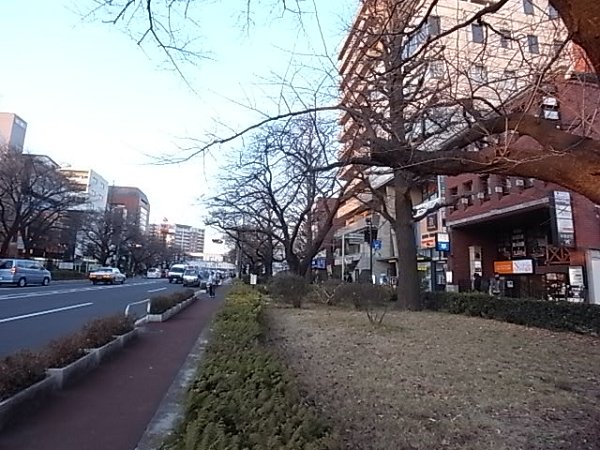 Arcadia N・K その他