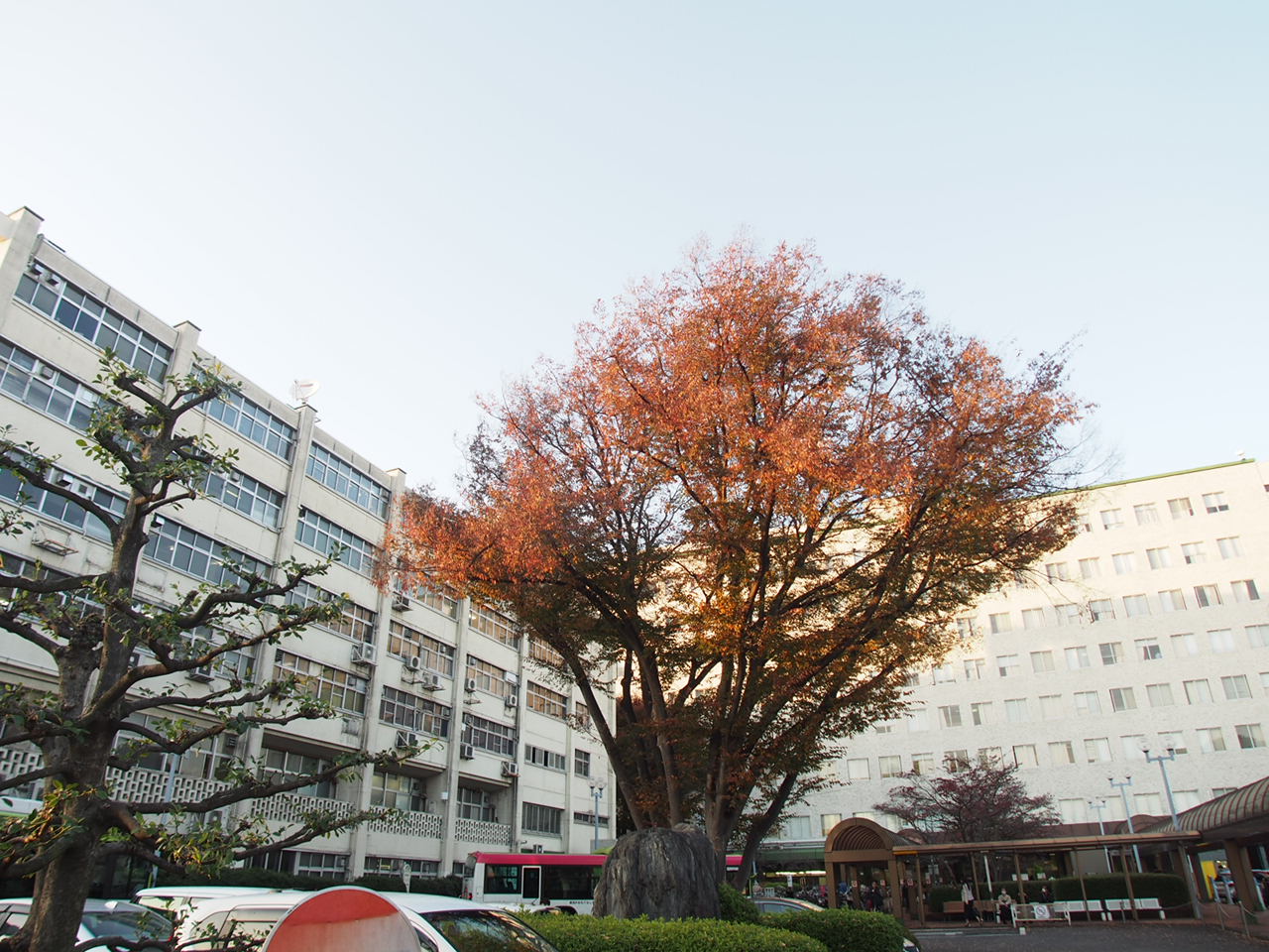 マリアージュ 総合病院