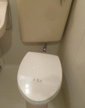 常盤台ダイカンプラザシティ トイレ