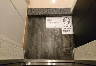 フェニックス新川崎 玄関