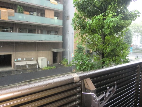 フェニックス新横濱クアトロ 眺望