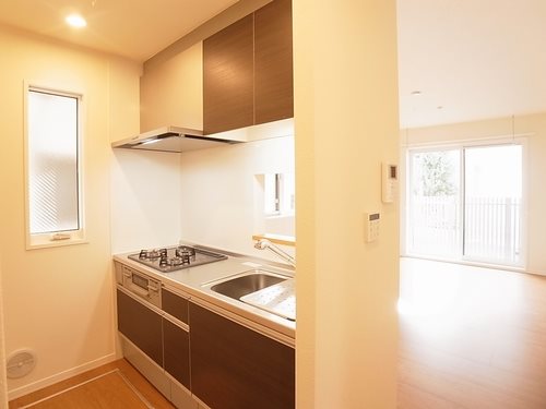 Laurier South キッチン