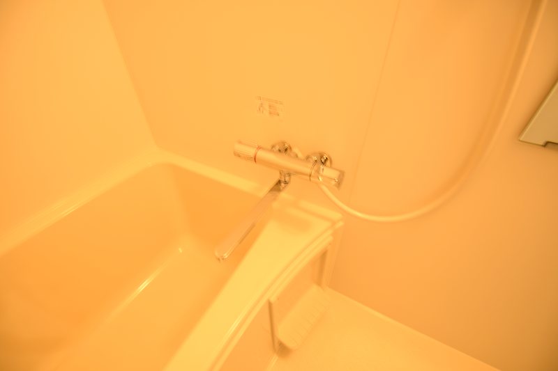 サンレイクⅠ その他