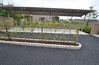 Ｇｒａｎｄ　Ｃｅｒｃｌｅ その他12