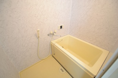 グリーンヒルD 風呂画像
