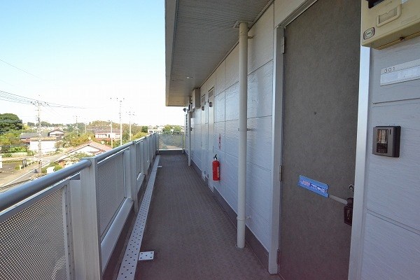 エーデルワイス その他1