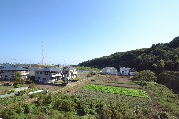 エーデルワイス その他9