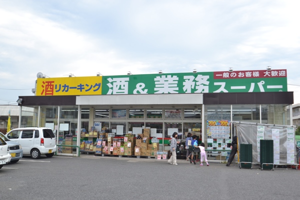 ディアスＫ２ 周辺画像2