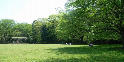 カーサベルデ 周辺画像5