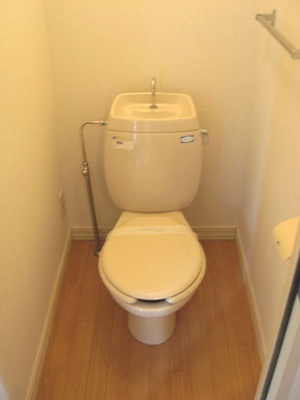 カサベルテうつき その他1