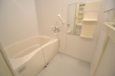 ラ・セントロ 風呂画像