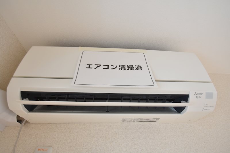 Ｈａｌｅ Ｋａｐｕａ その他2