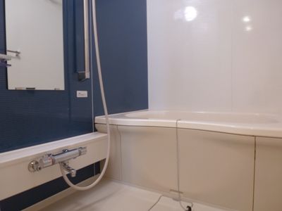 ルミエール豊田 風呂画像