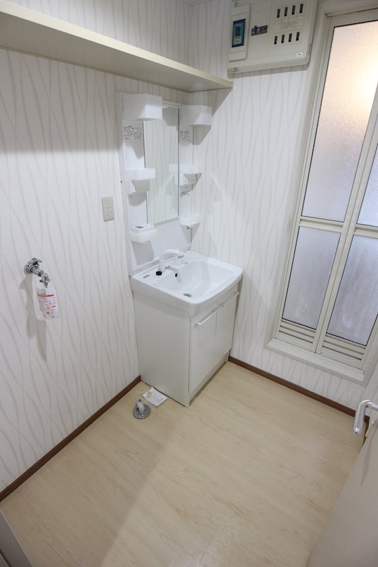 ファンテーヌオオマチ 洗面所