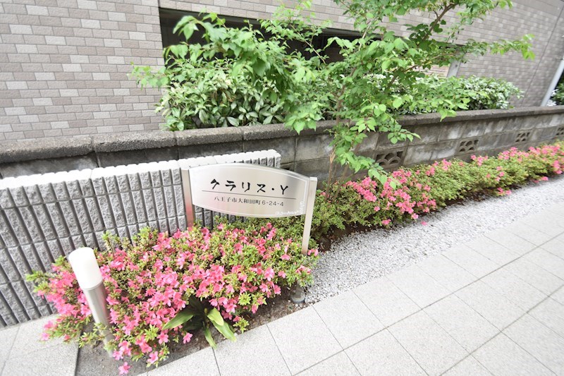 クラリス・Ｙ その他13