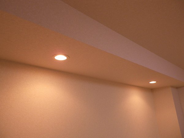 ダウンライト ルーブル蒲田南弐番館 その他6