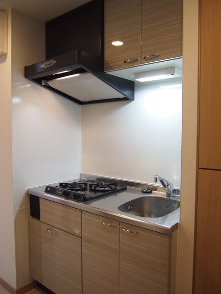 ルーブル武蔵新城 キッチン