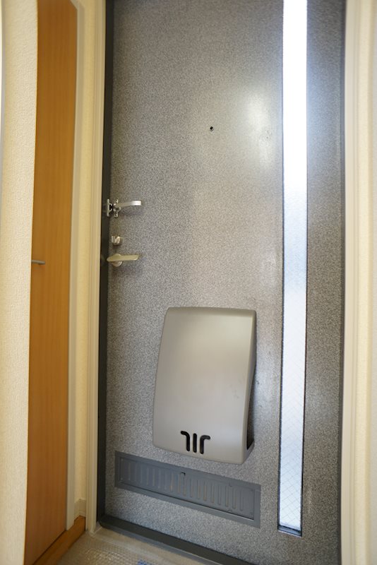 カーサベルデA 玄関
