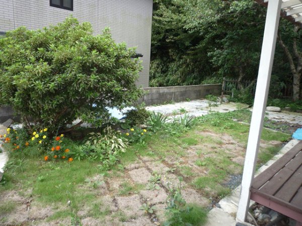 佐藤信宏住宅 庭