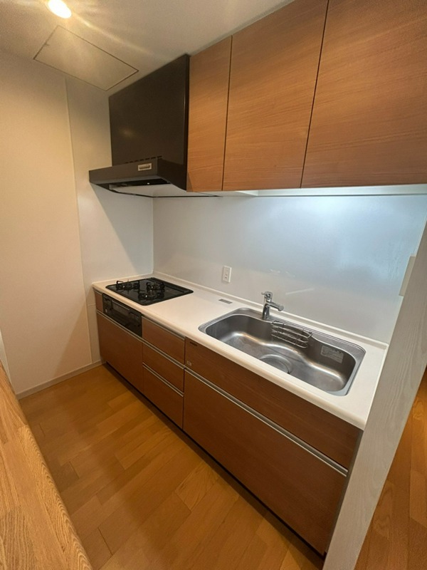 ラプンテシスヤマモト その他2