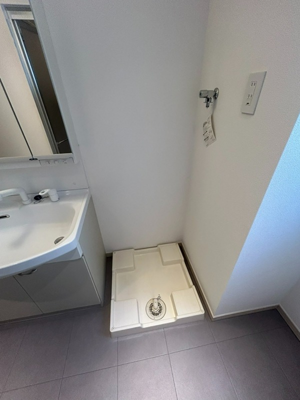 ラプンテシスヤマモト その他6