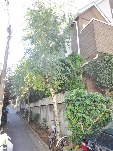クライン　シュロス その他2