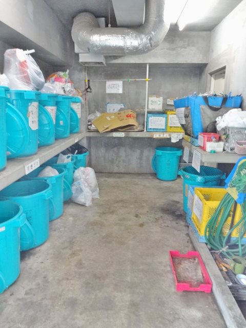 アミーゴ南馬込 その他7