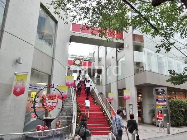ドミール奥沢 その他10