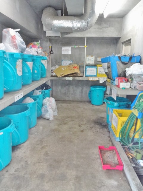 アミーゴ南馬込 その他13