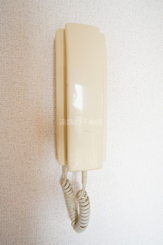 フィオーレ セキュリティ