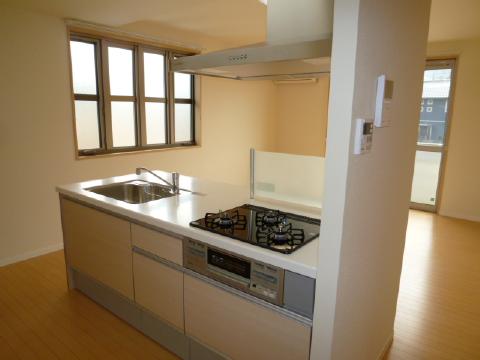 ＭａｓｔＴｏｗｎ愛野南Ｂ キッチン