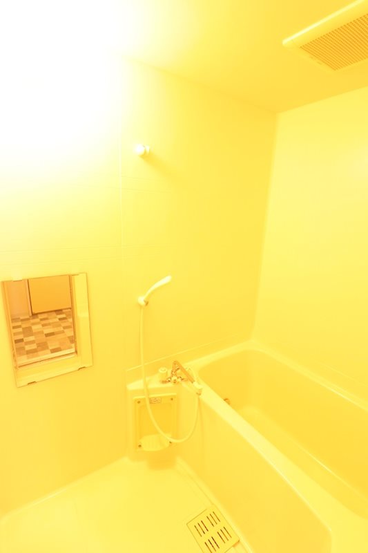 ミレーニア 風呂画像