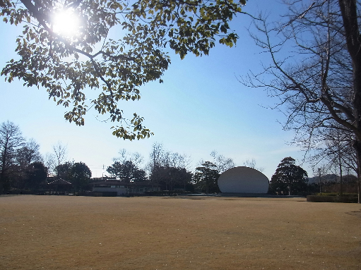 ロイヤルビレッジ 公園