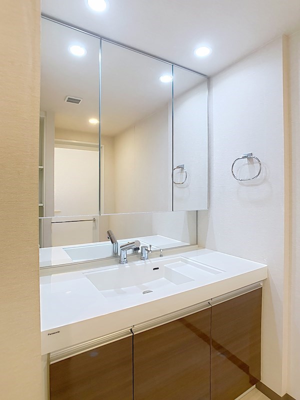 レクセル浜松弁天島(303) 洗面所