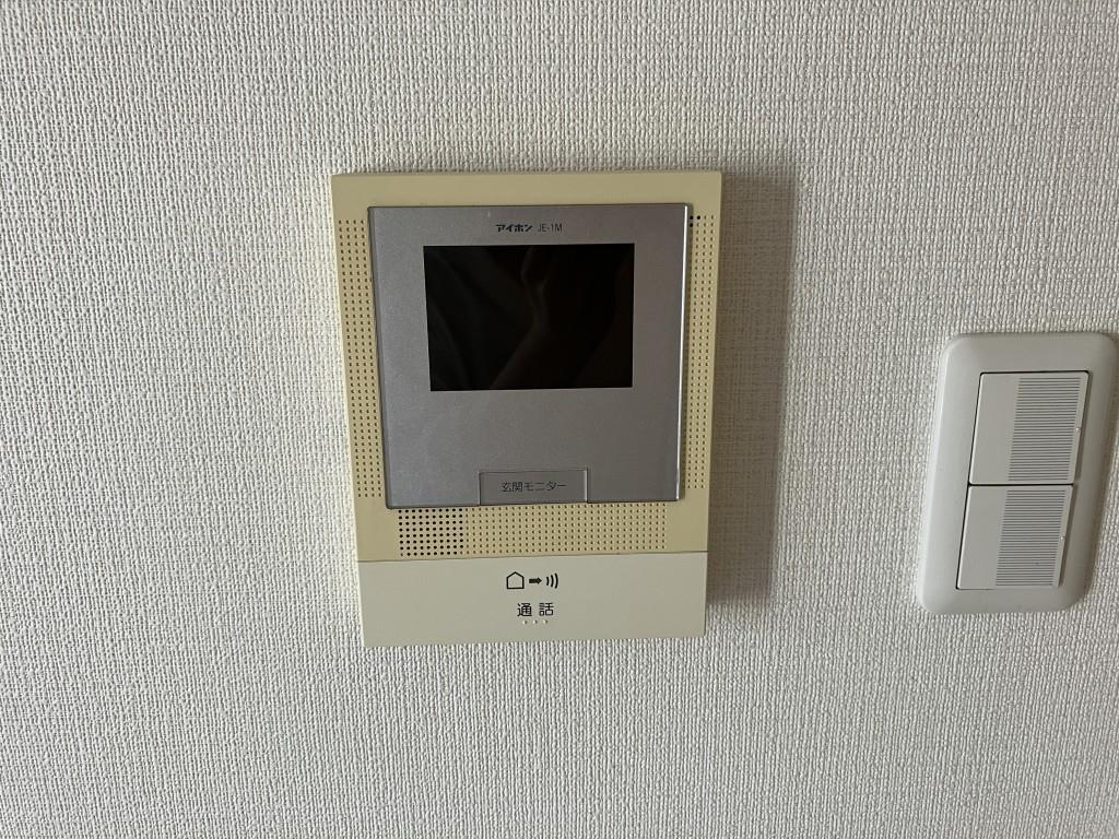 ポーチュラカ その他2