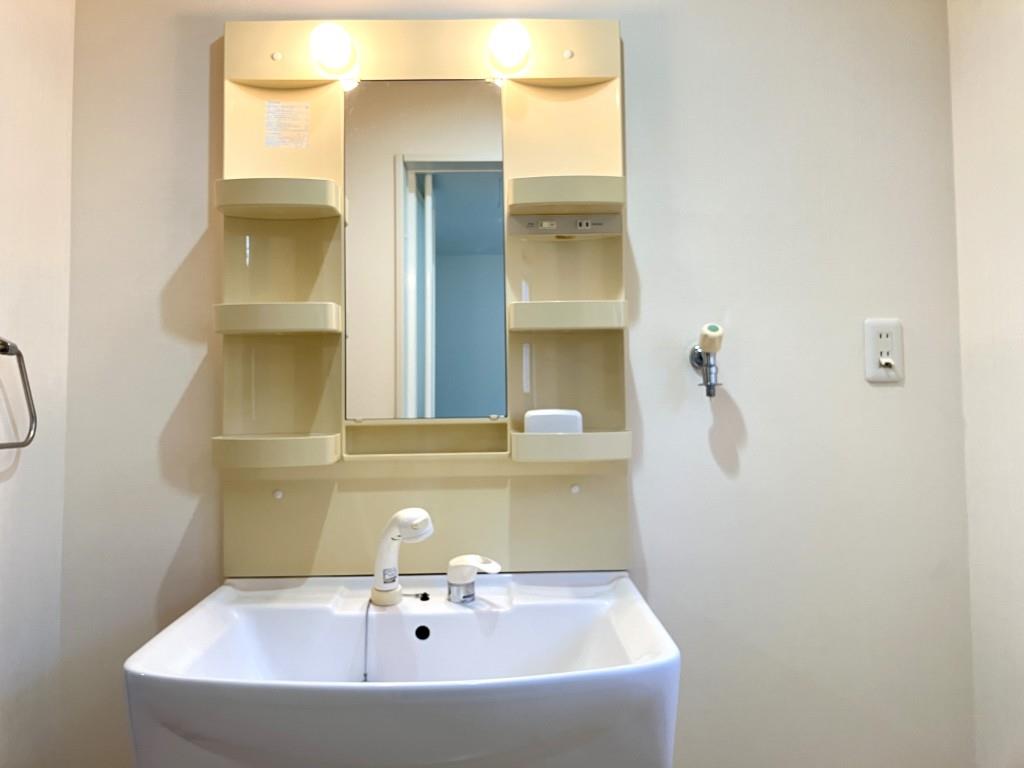 ポーチュラカ その他9