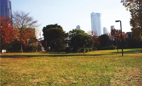 青山光影ビル 公園