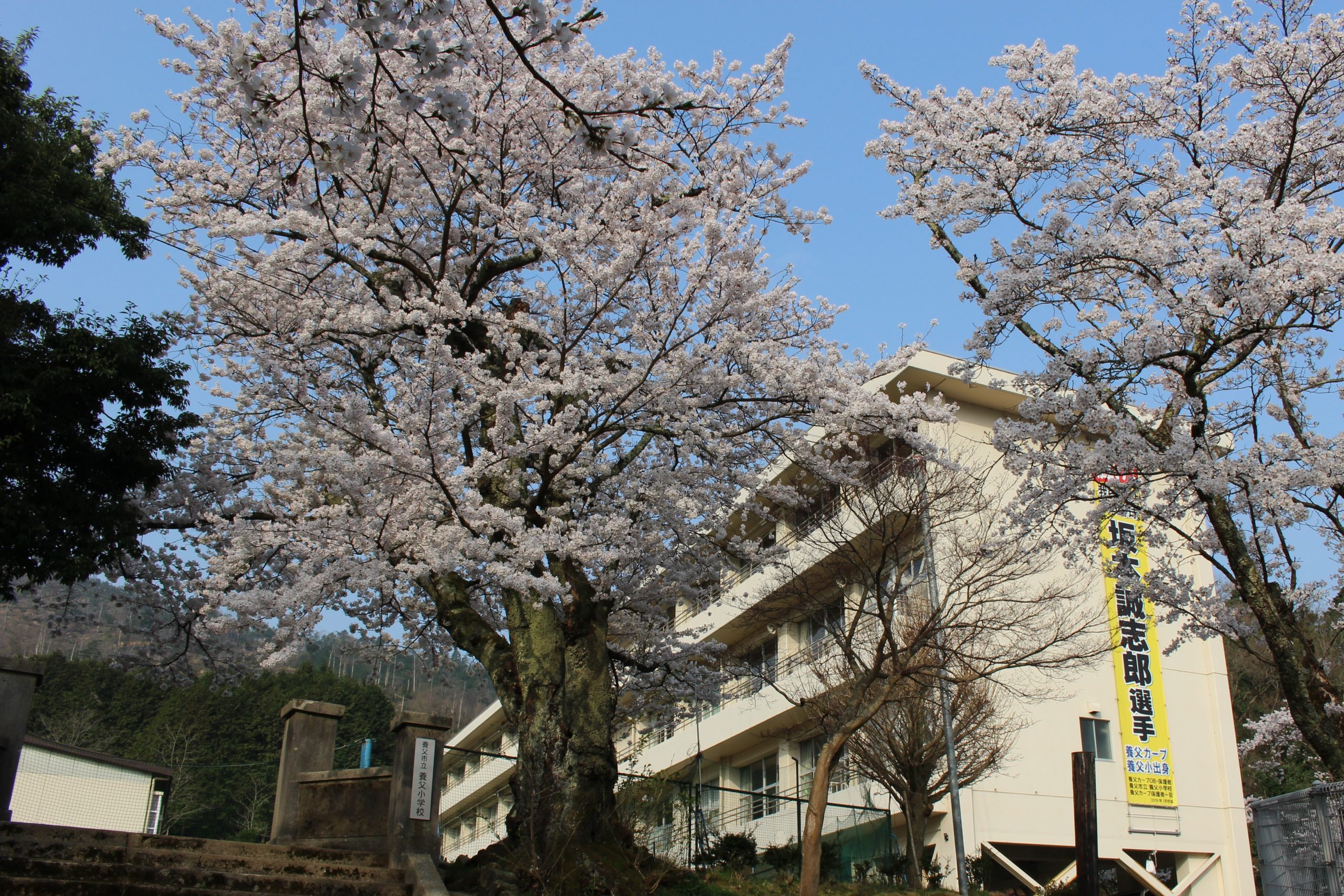 口米地コーポ105 小学校