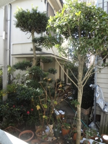 ピースコーポ★仲介手数料半月分★ その他4