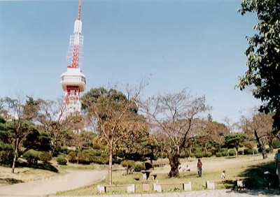 福田ハイツ 公園