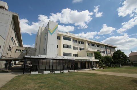 松井ハイツ 小学校