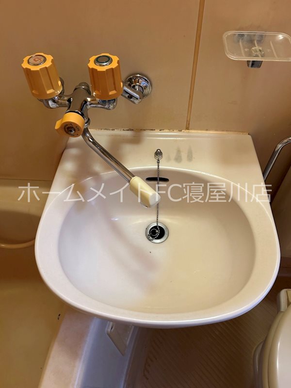 シャトー八坂 洗面所