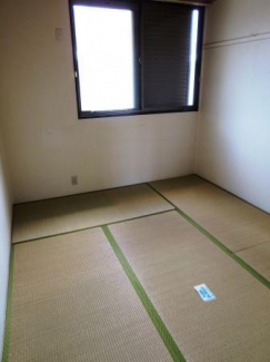 石橋ハイツA棟 その他