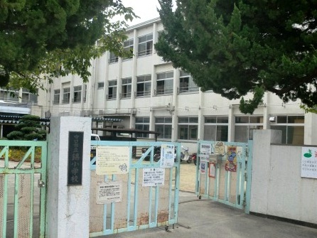 扇マンションにしき 小学校