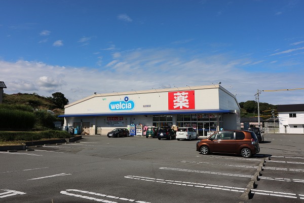 ぐりーんはうす ドラッグストア