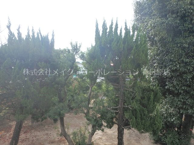 眺望 第2嶋村ビル その他7