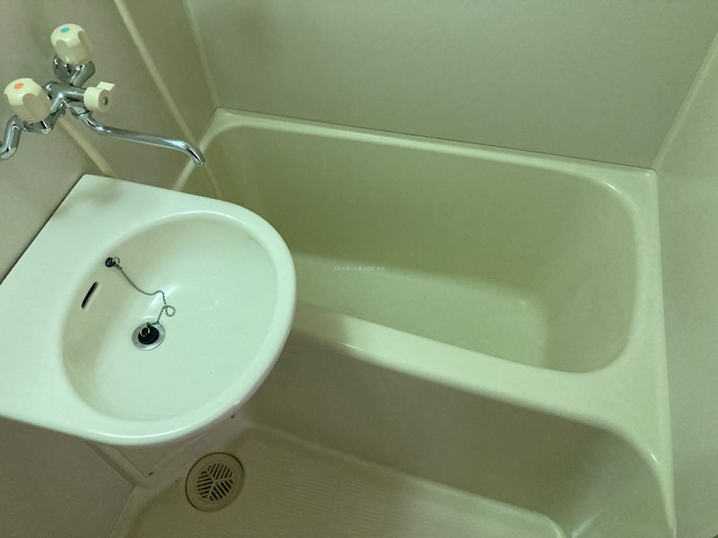 花きゃべつ 風呂画像