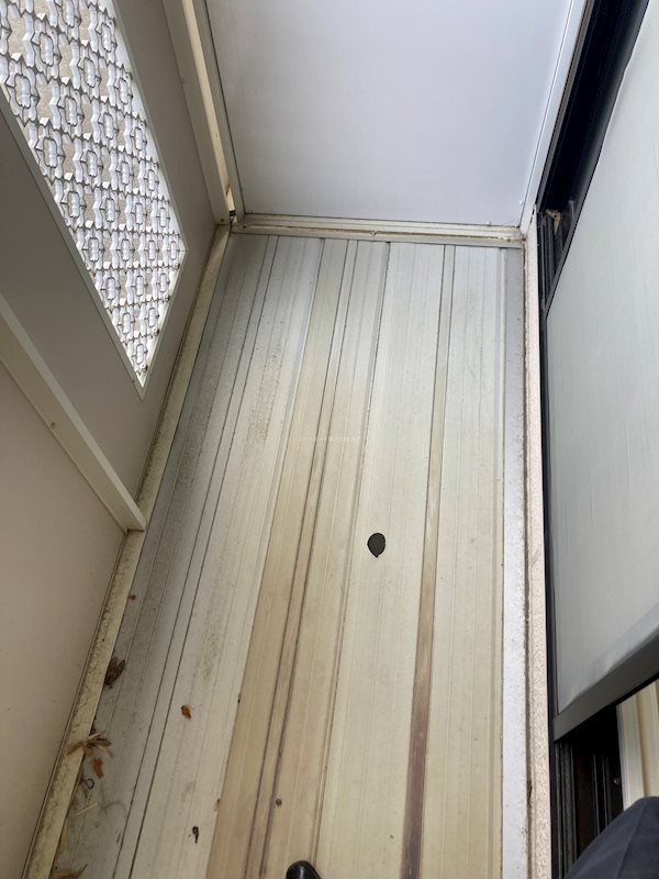 花きゃべつ ベランダ